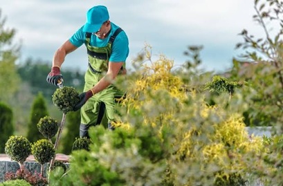 Mantenimiento áreas verdes